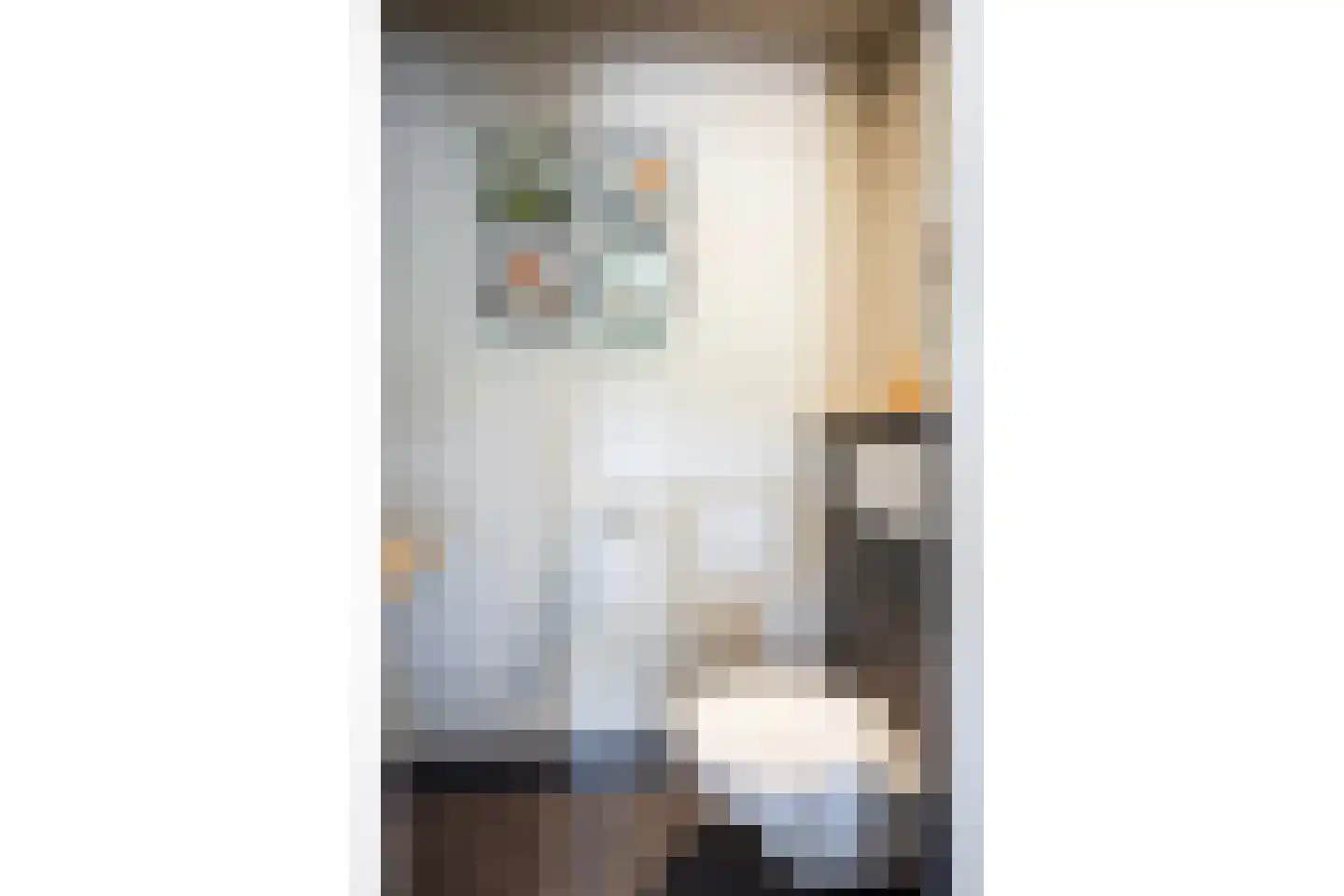 Schellerallee 15 Zwolle thumbnail 7