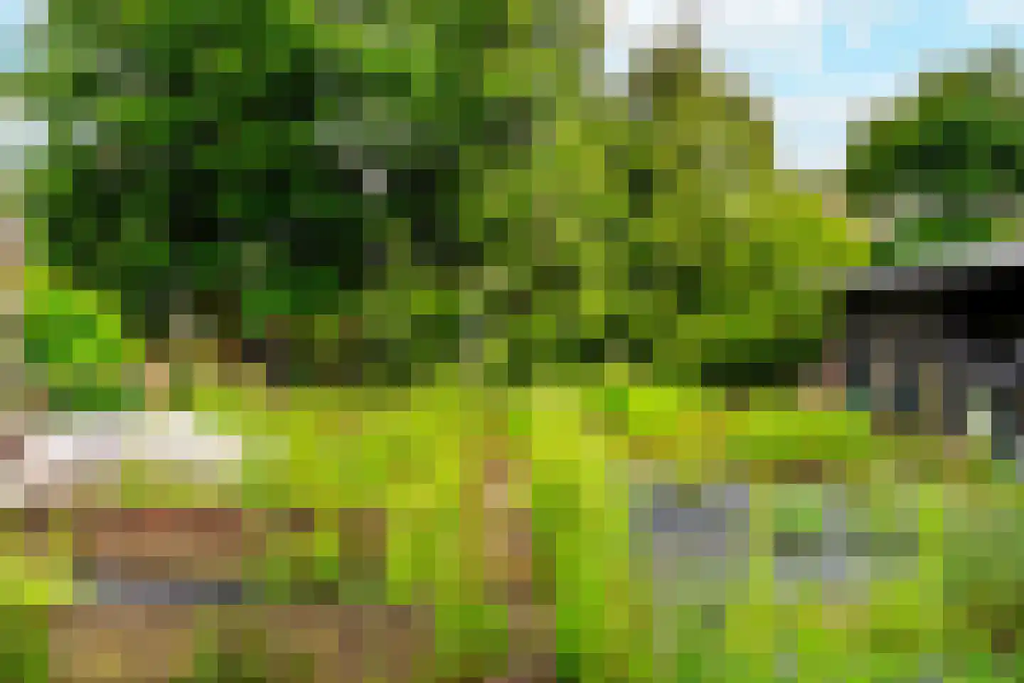 Schellerbergweg 11 Zwolle thumbnail 27