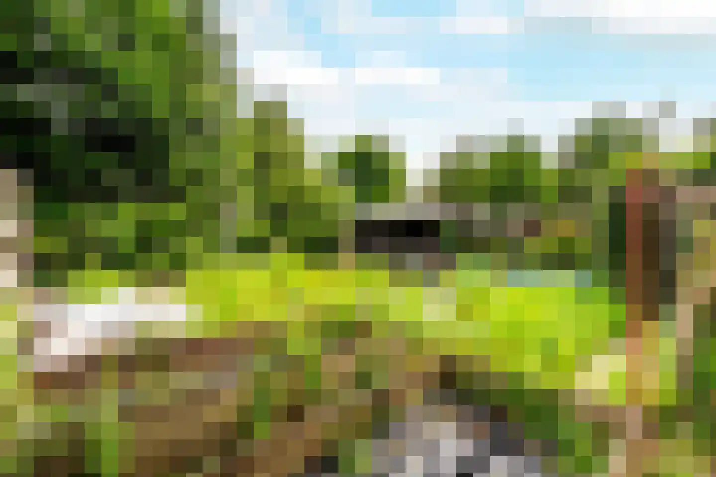 Schellerbergweg 11 Zwolle thumbnail 29