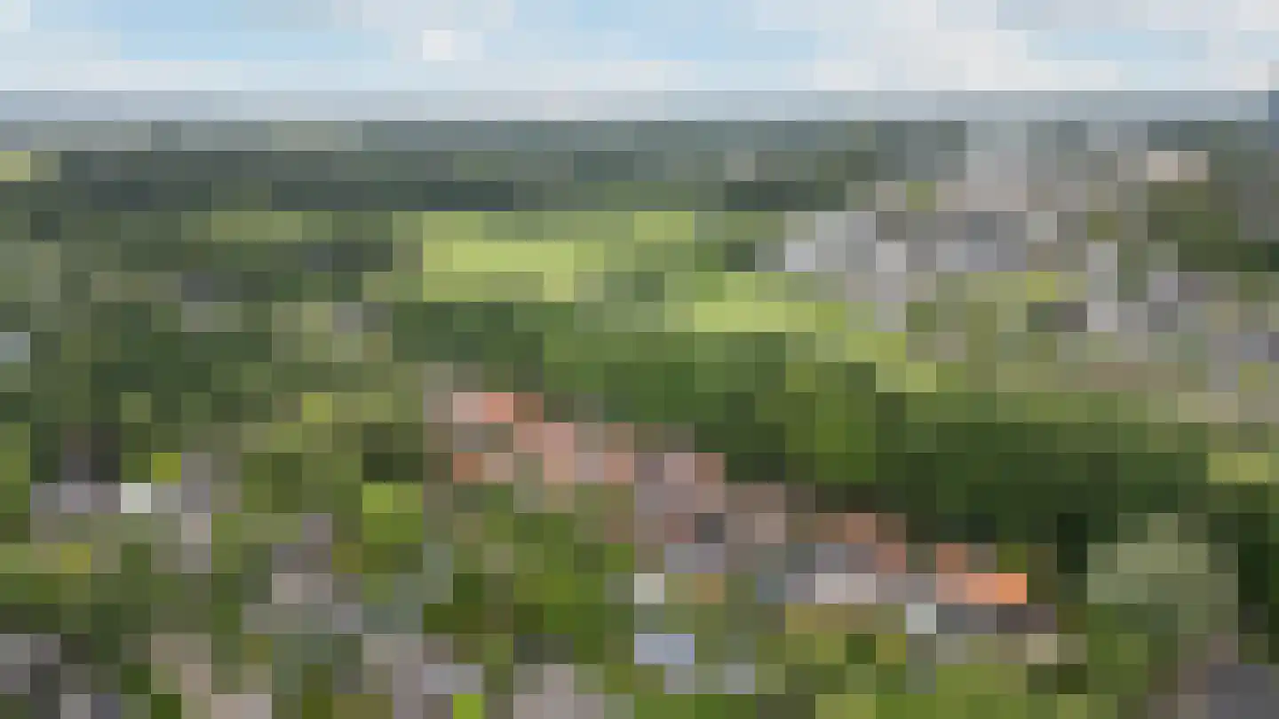Schellerbergweg 11 Zwolle thumbnail 30