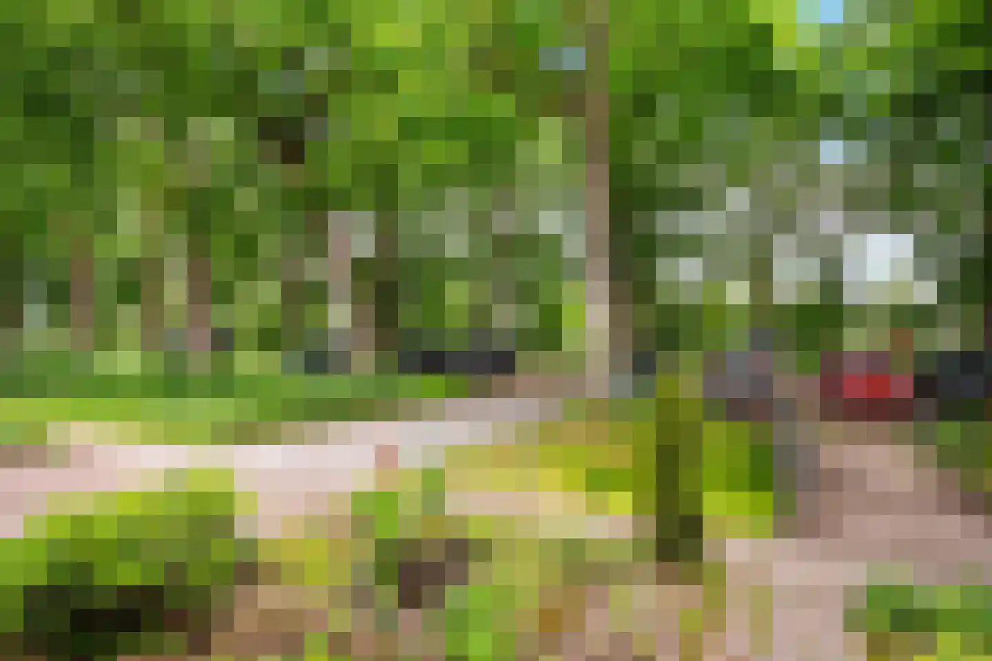 Schellerbergweg 11 Zwolle thumbnail 4