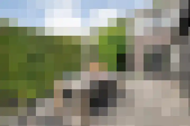 Schellerbergweg 19 Zwolle thumbnail 37