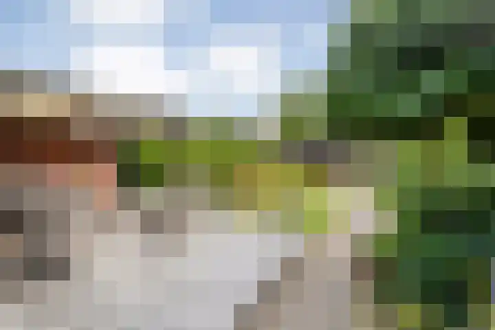 Schellerbergweg 19 Zwolle thumbnail 38