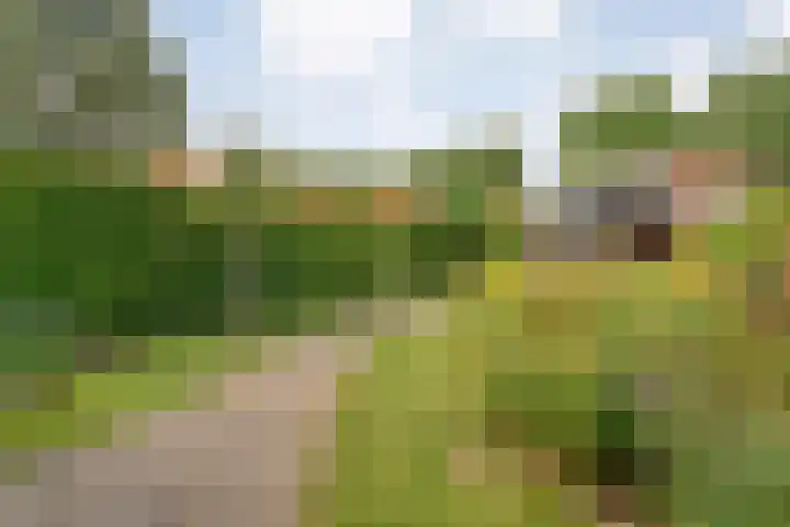 Schellerbergweg 19 Zwolle thumbnail 41