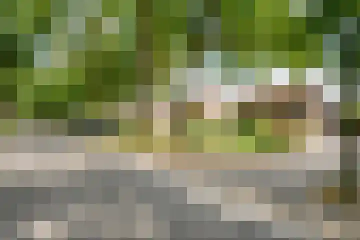 Schellerbergweg 19 Zwolle thumbnail 46
