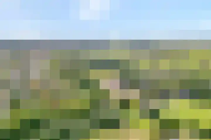 Schellerbergweg 19 Zwolle thumbnail 47