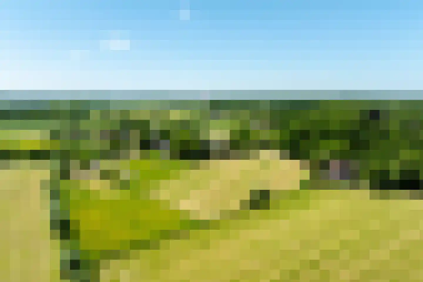Schellerbergweg 33 Zwolle thumbnail 6