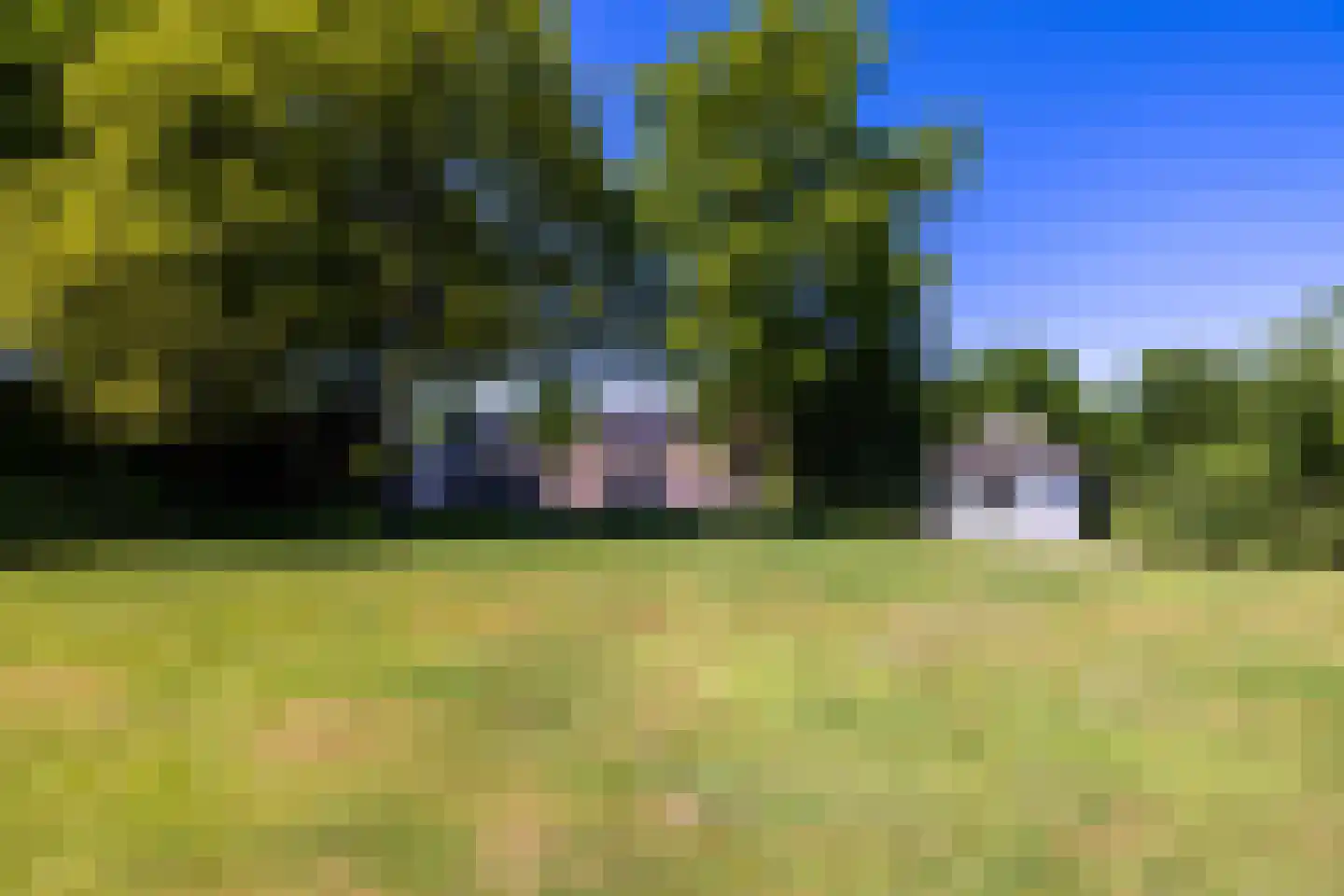 Schellerbergweg 33 Zwolle thumbnail 63