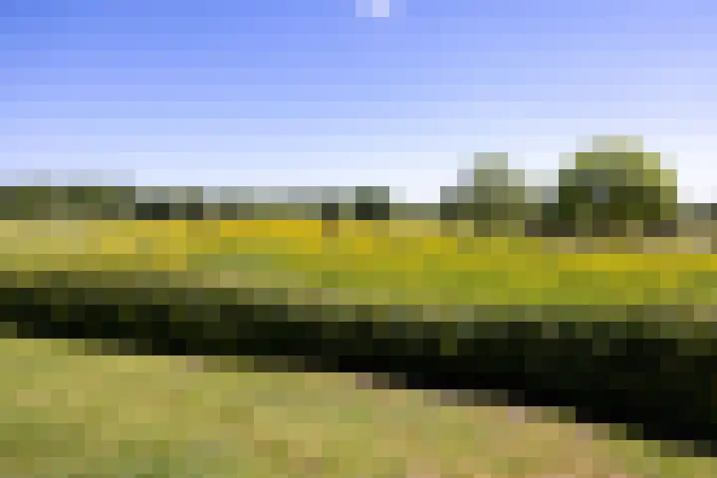Schellerbergweg 33 Zwolle thumbnail 65