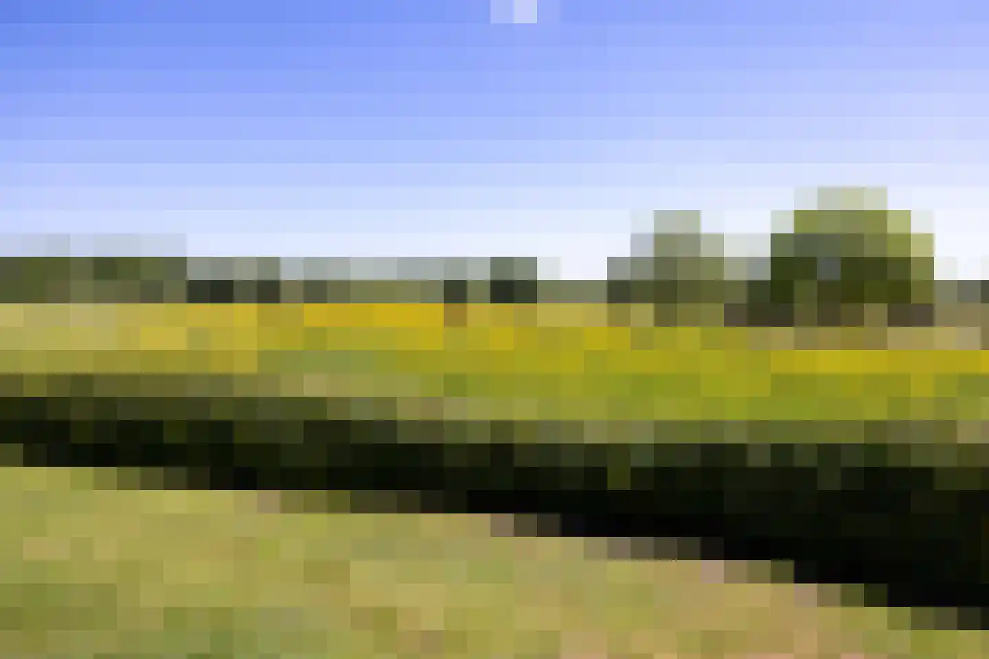 Schellerbergweg 33 Zwolle thumbnail 65