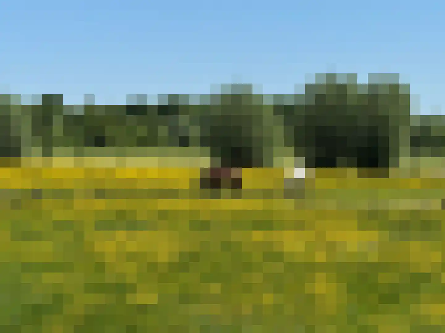 Schellerbergweg 33 Zwolle thumbnail 66