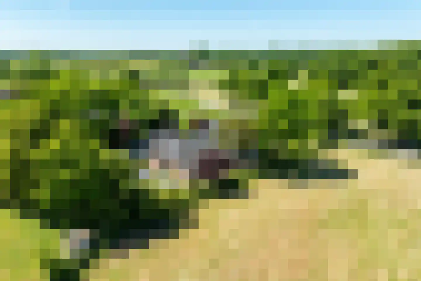 Schellerbergweg 33 Zwolle thumbnail 76