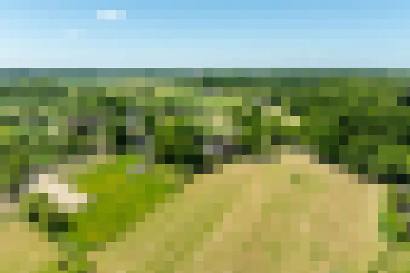 Schellerbergweg 33 Zwolle thumbnail 77
