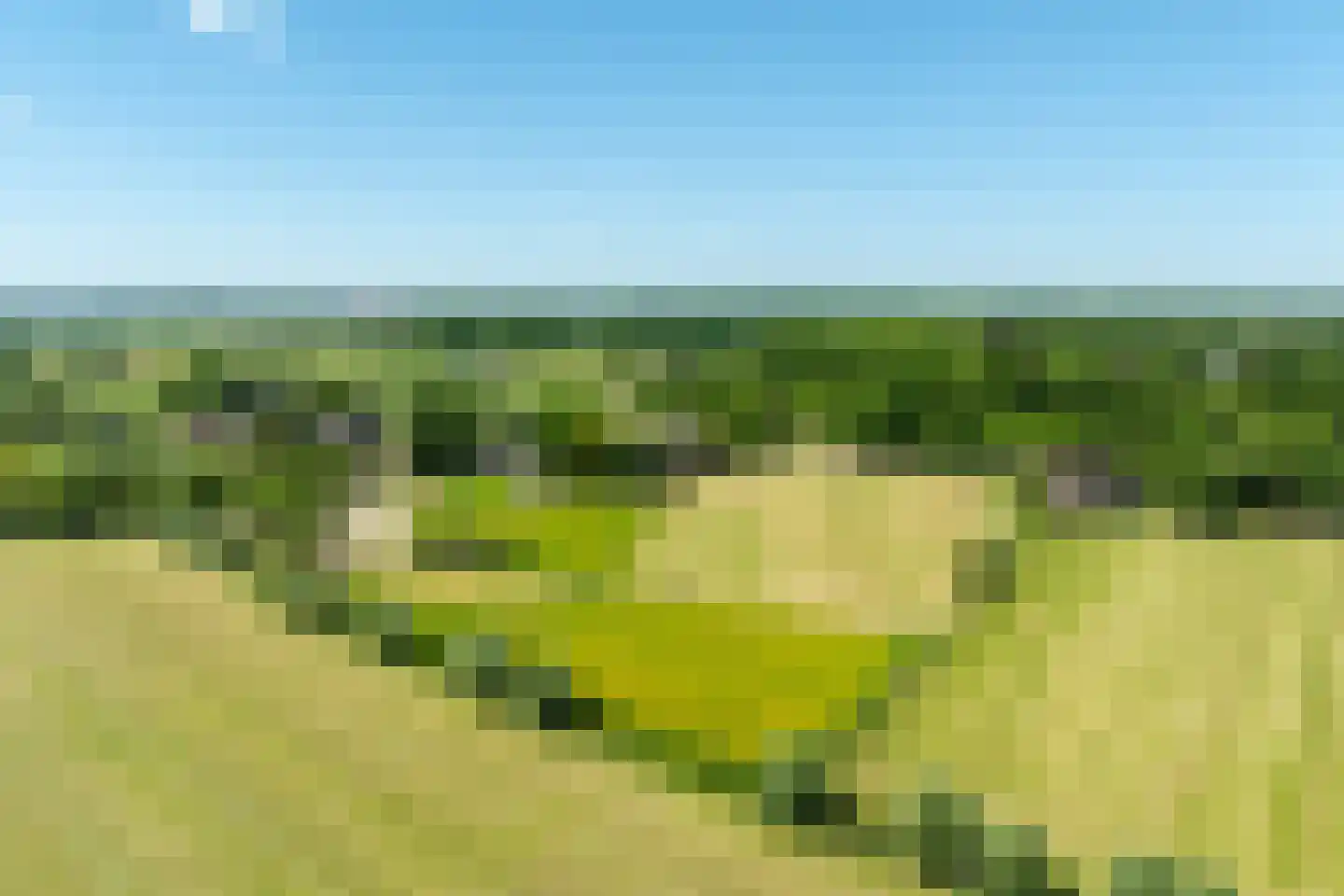 Schellerbergweg 33 Zwolle thumbnail 78