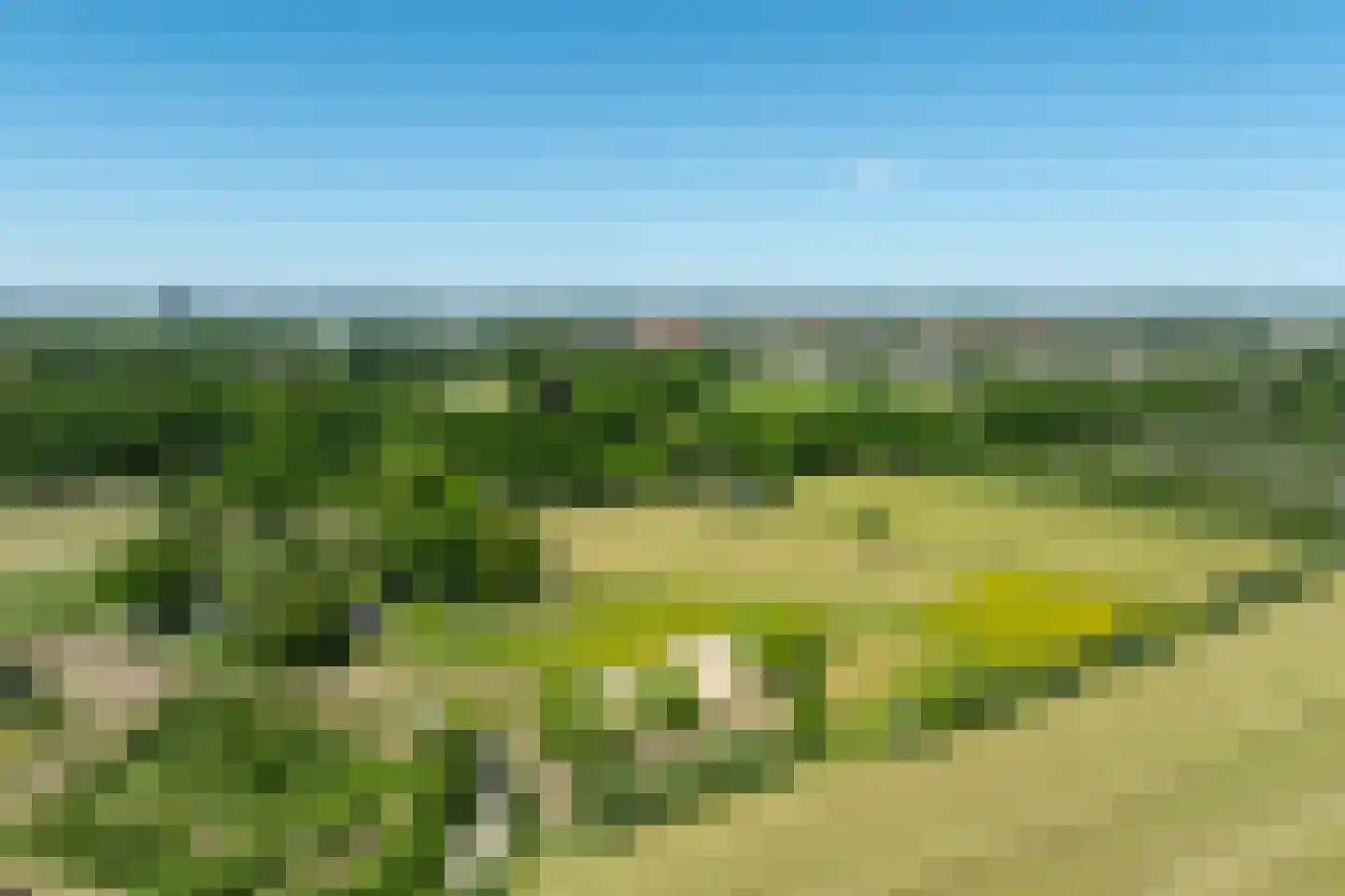 Schellerbergweg 33 Zwolle thumbnail 80