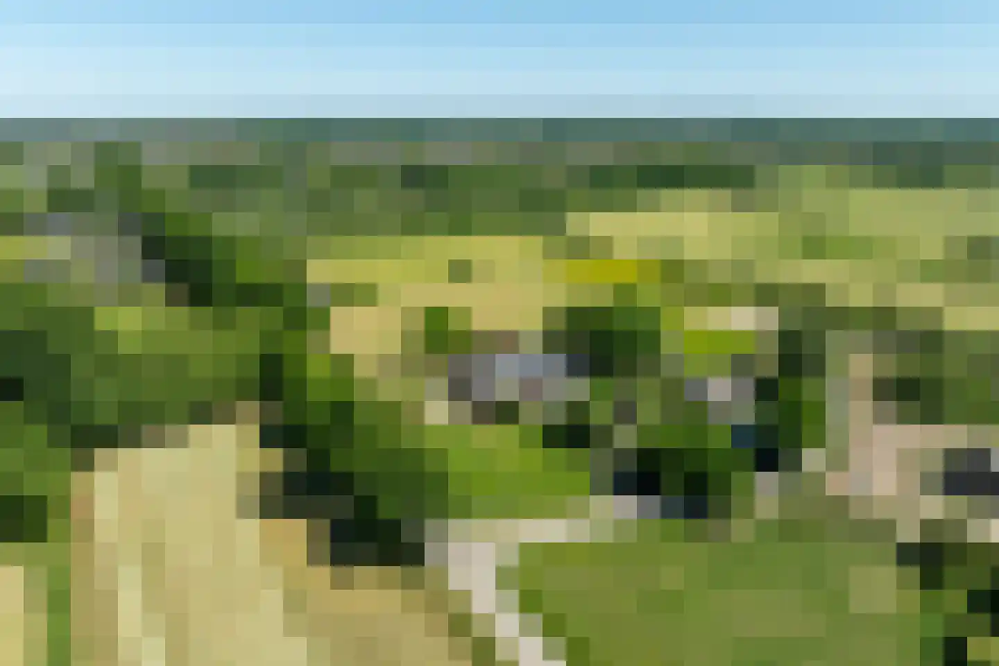Schellerbergweg 33 Zwolle thumbnail 82