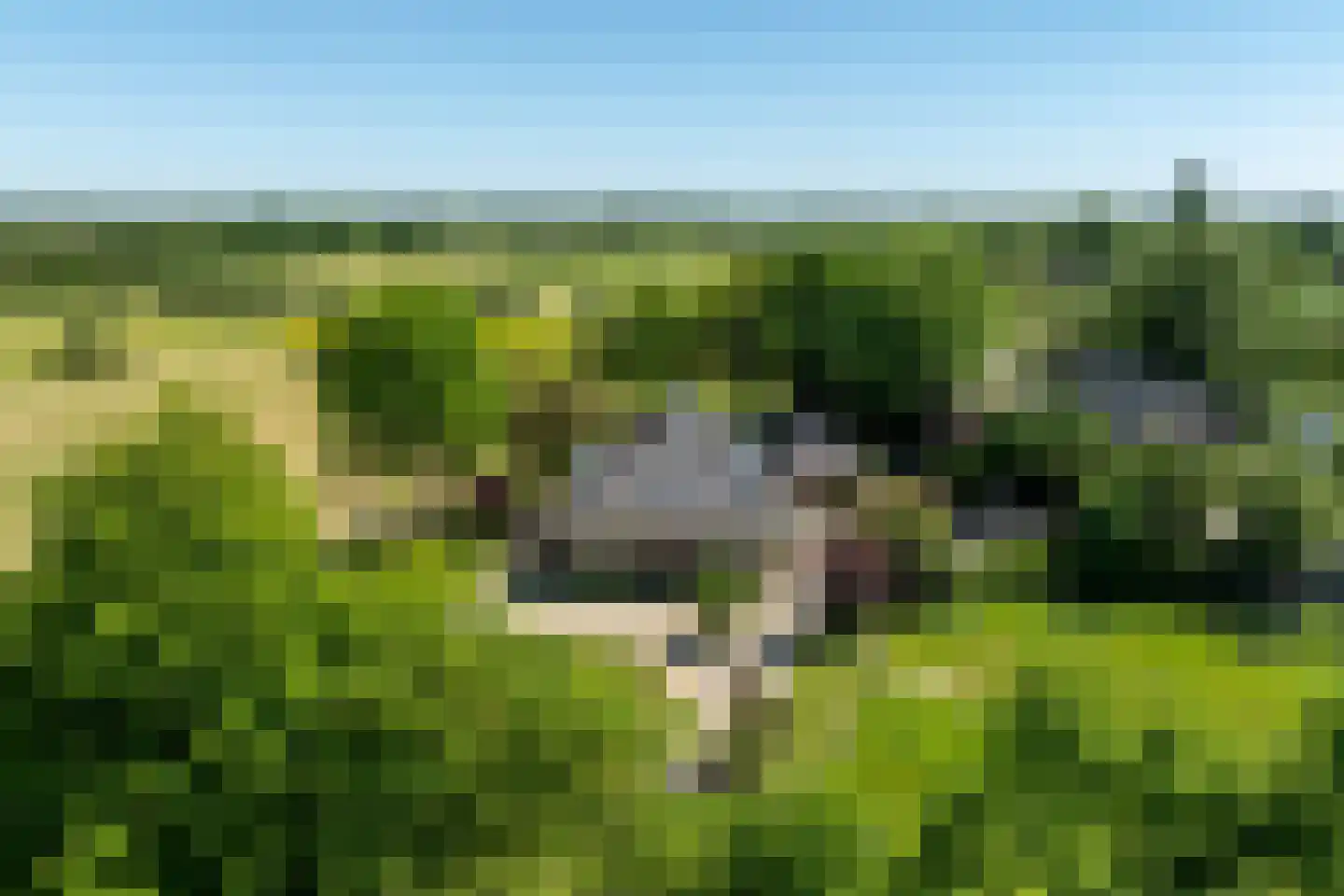 Schellerbergweg 33 Zwolle thumbnail 85