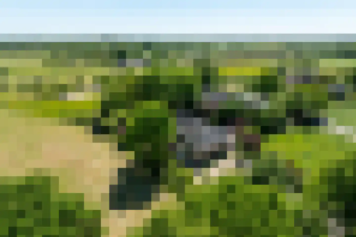 Schellerbergweg 33 Zwolle thumbnail 86