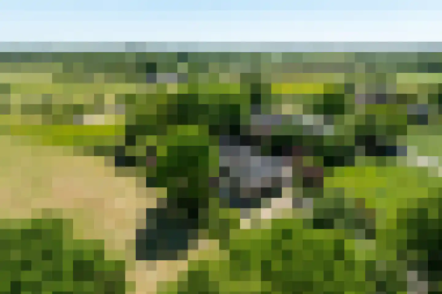 Schellerbergweg 33 Zwolle thumbnail 86