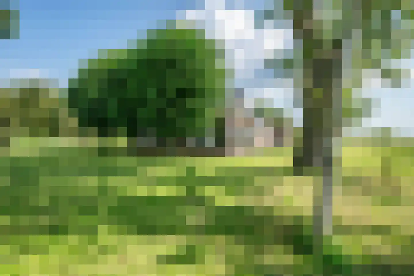 Schellerdijk 12 Zwolle thumbnail 45
