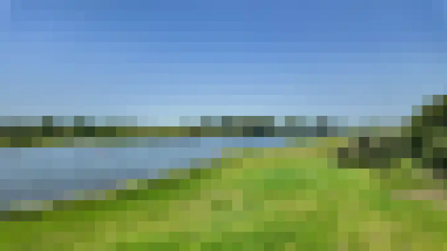 Schellerdijk 12 Zwolle thumbnail 5