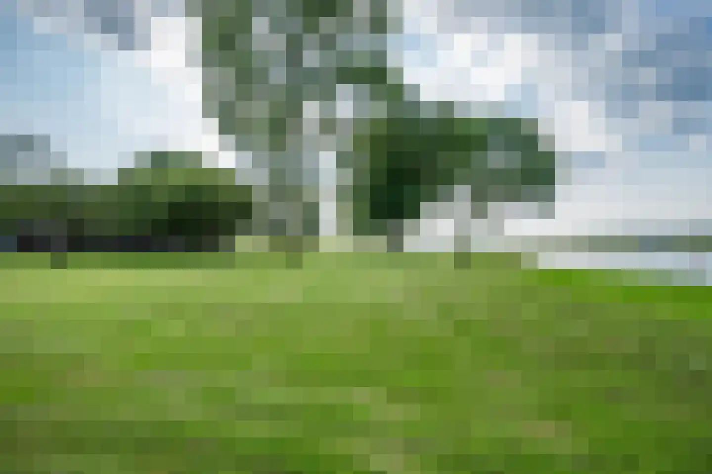 Schellerdijk 12 Zwolle thumbnail 58
