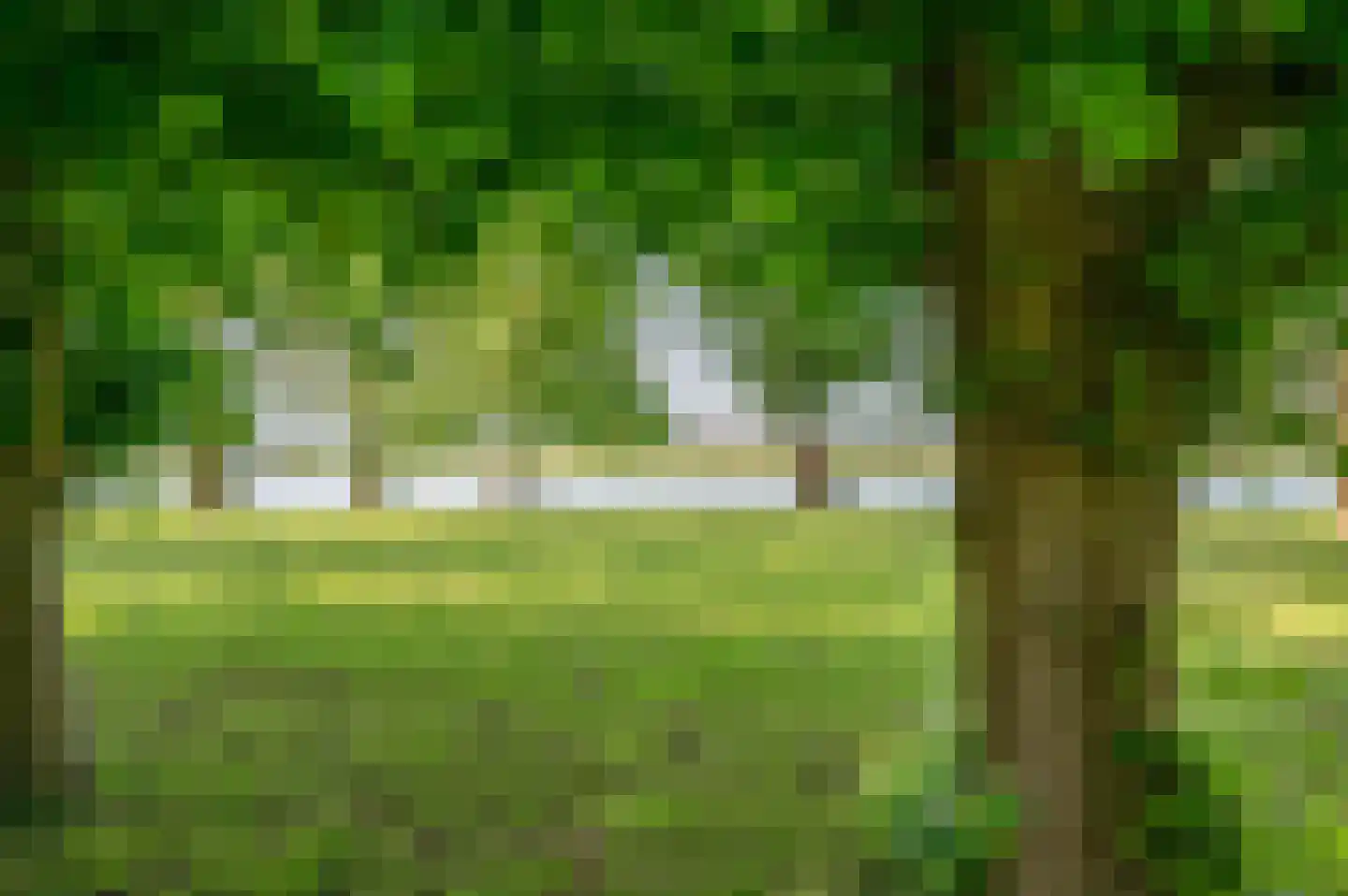Schellerdijk 12 Zwolle thumbnail 60