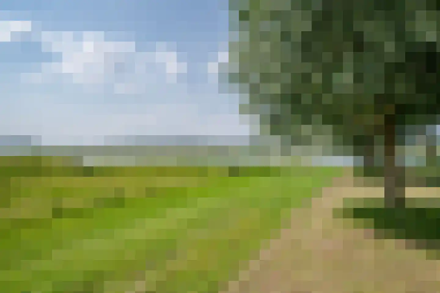Schellerdijk 12 Zwolle thumbnail 61
