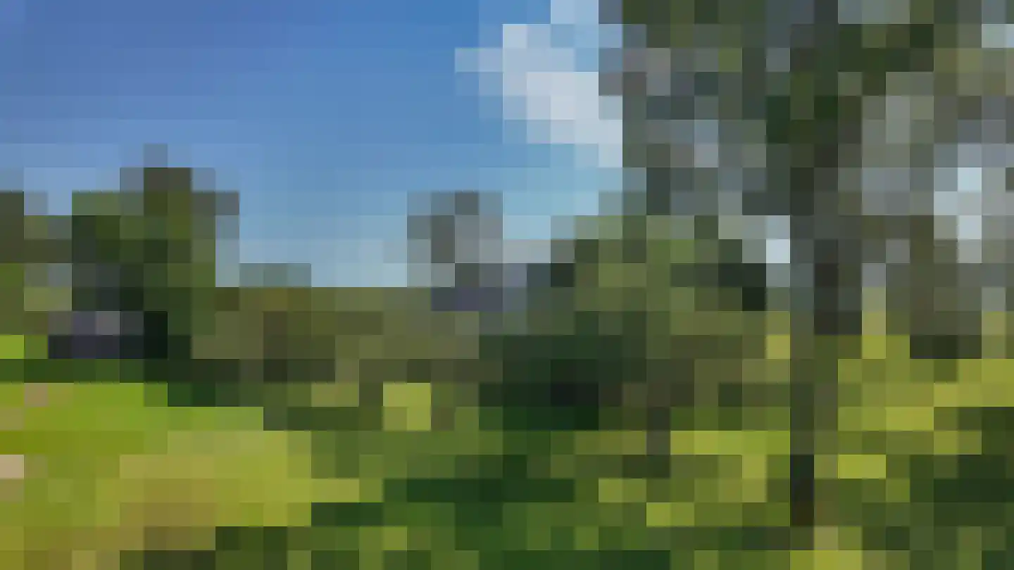 Schellerdijk 12 Zwolle thumbnail 62
