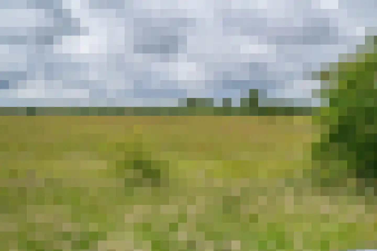 Schellerdijk 12 Zwolle thumbnail 64