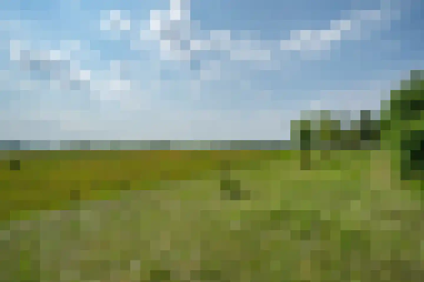 Schellerdijk 12 Zwolle thumbnail 66
