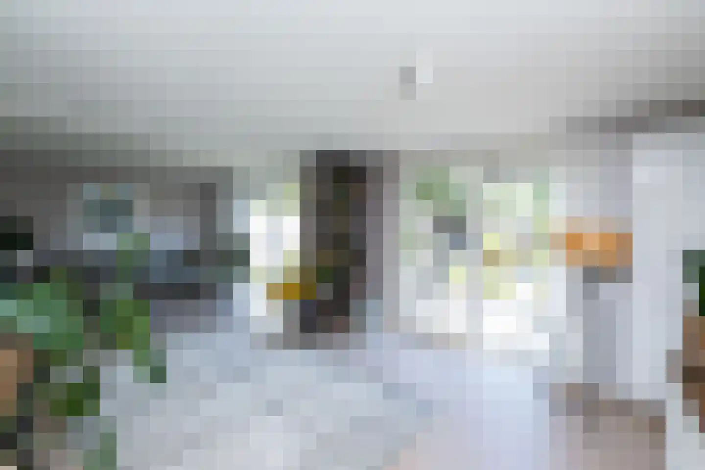 Schellerpad 28 Zwolle thumbnail 11