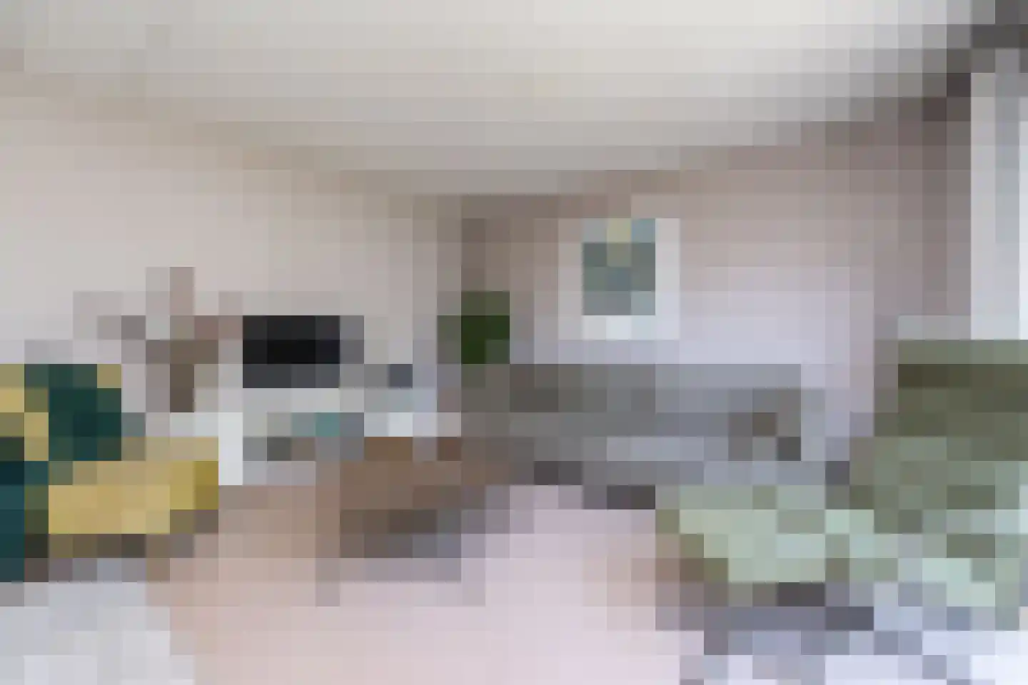 Schellerpad 28 Zwolle thumbnail 13