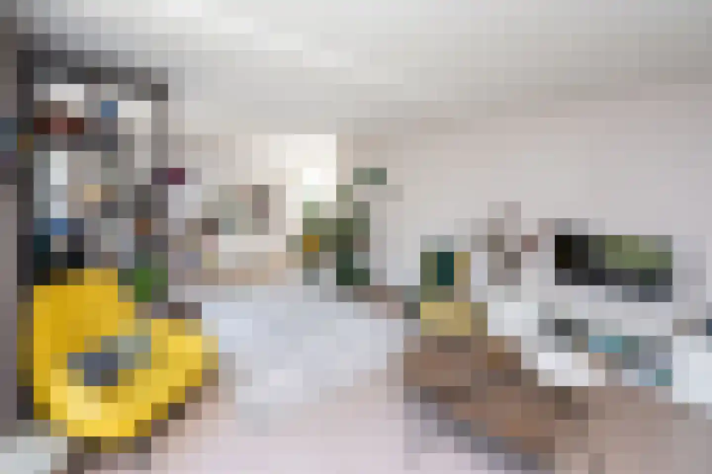 Schellerpad 28 Zwolle thumbnail 14