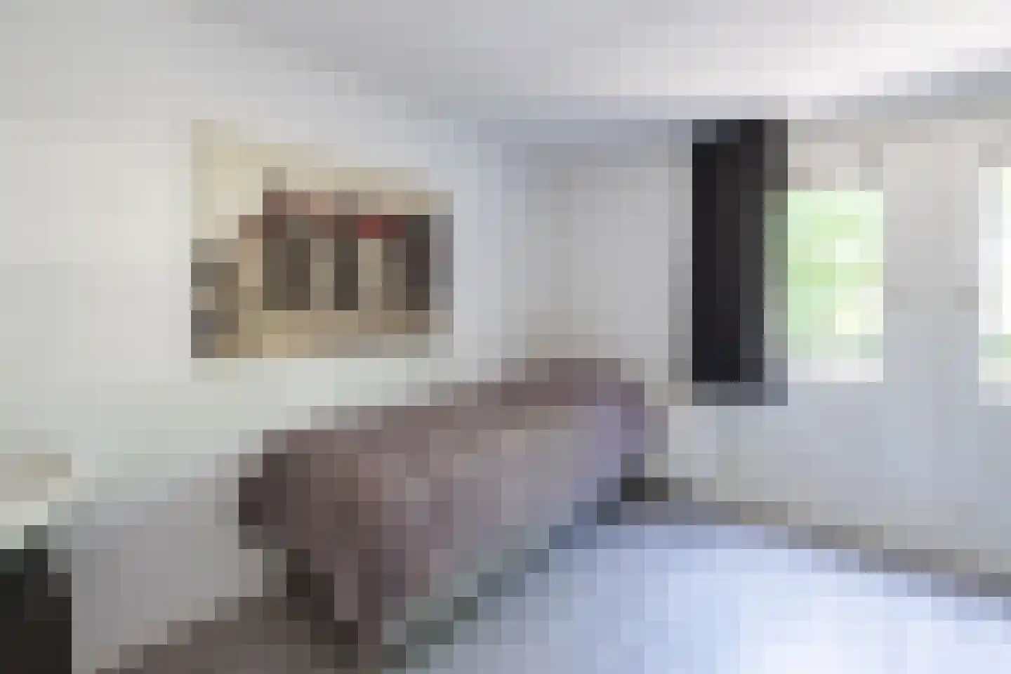 Schellerpad 28 Zwolle thumbnail 25
