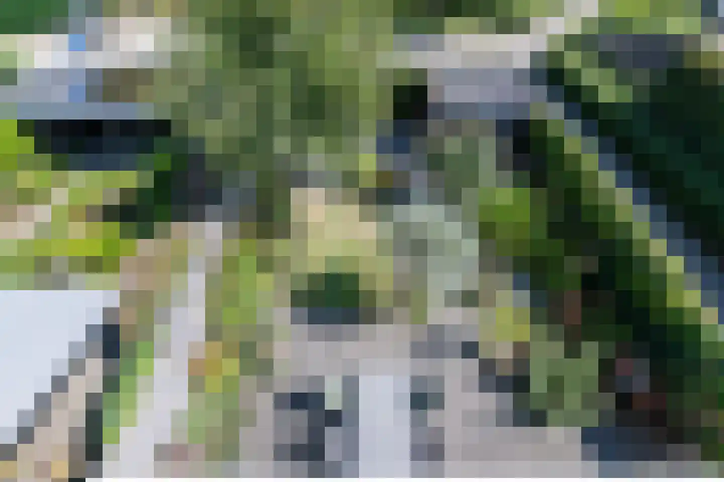 Schellerpad 28 Zwolle thumbnail 33