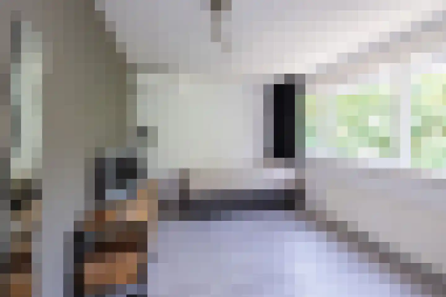 Schellerpad 28 Zwolle thumbnail 36
