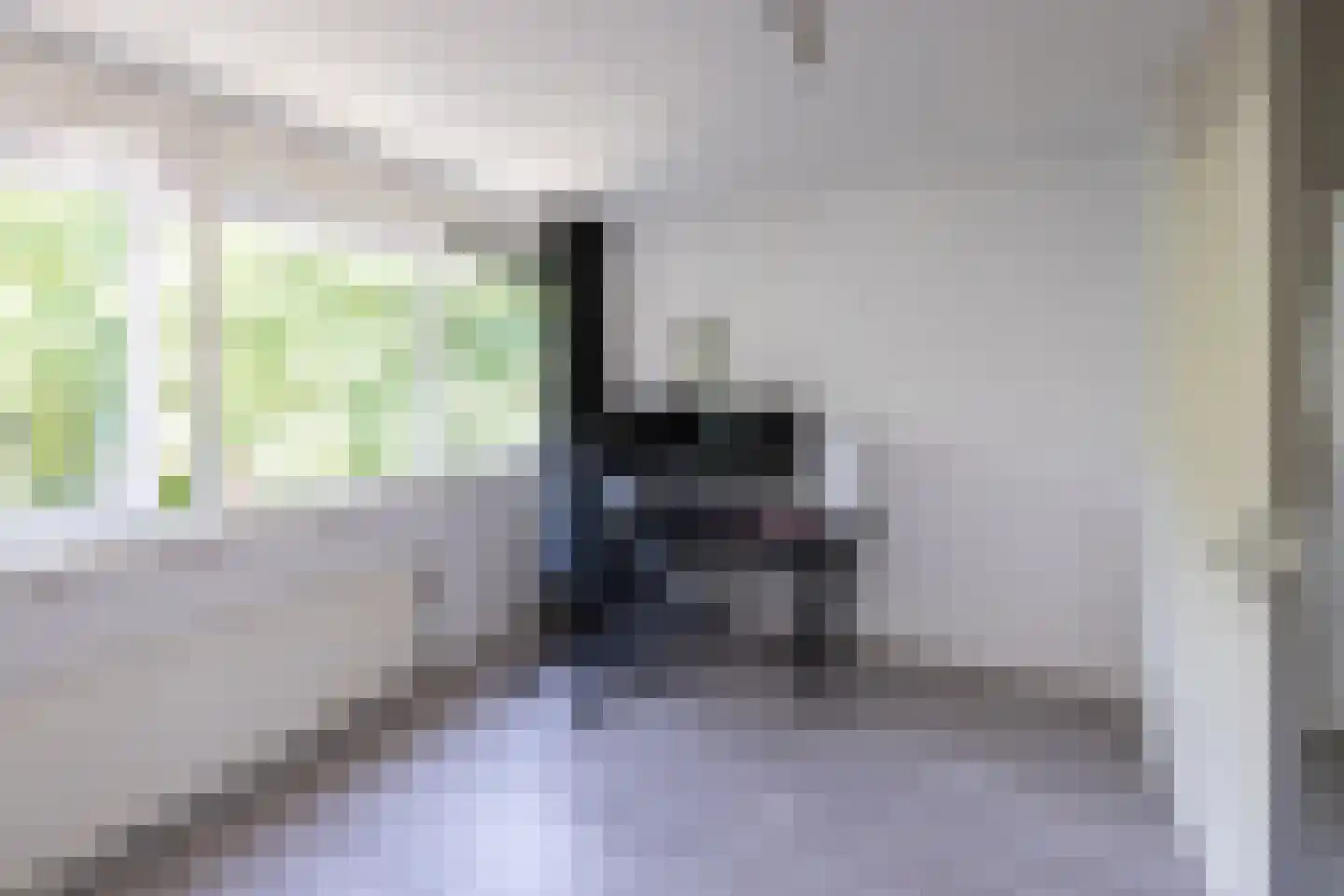 Schellerpad 28 Zwolle thumbnail 37