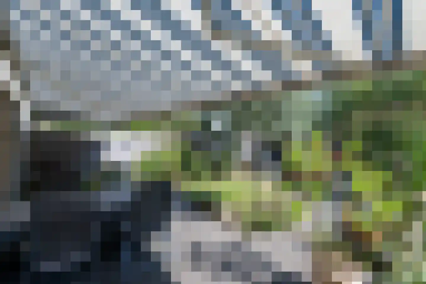 Schellerpad 28 Zwolle thumbnail 38