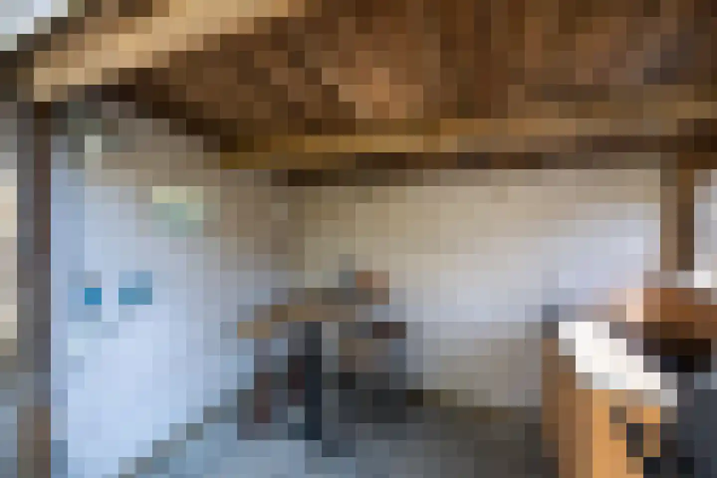 Schellerpad 28 Zwolle thumbnail 43