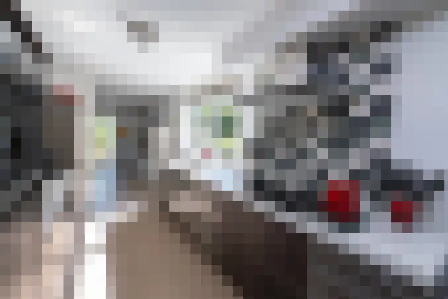 Schellerpad 28 Zwolle thumbnail 7