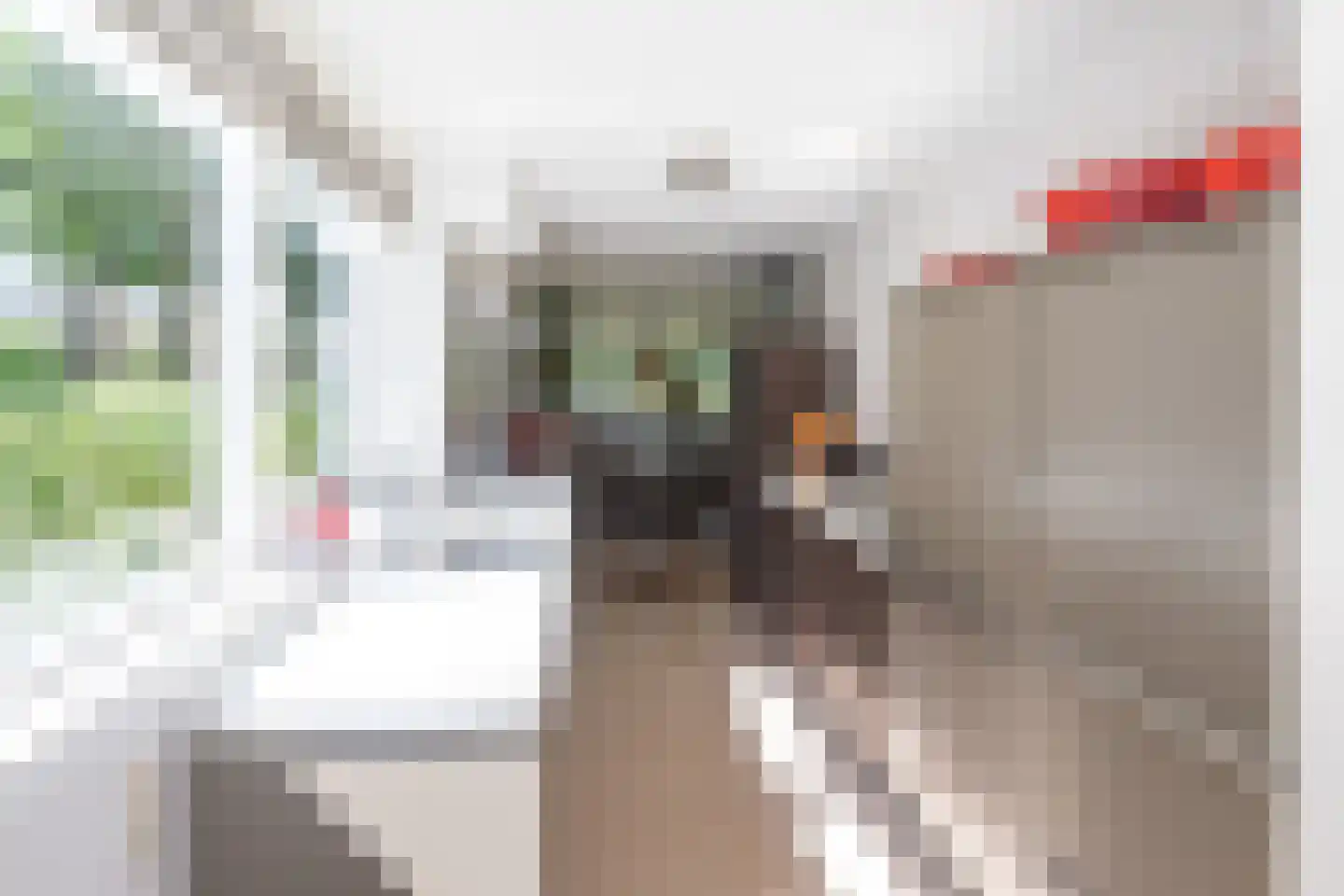 Schellerpad 28 Zwolle thumbnail 8