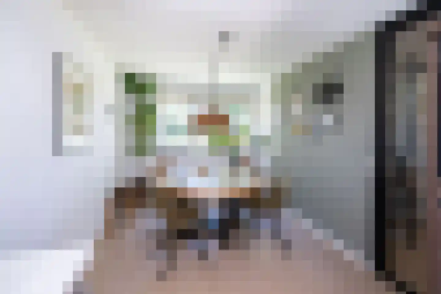 Schellerpad 28 Zwolle thumbnail 9