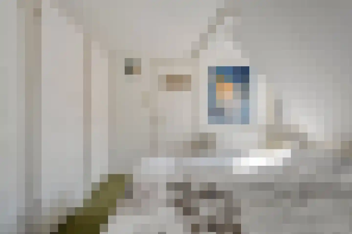 Schellerweg 108 Zwolle thumbnail 24