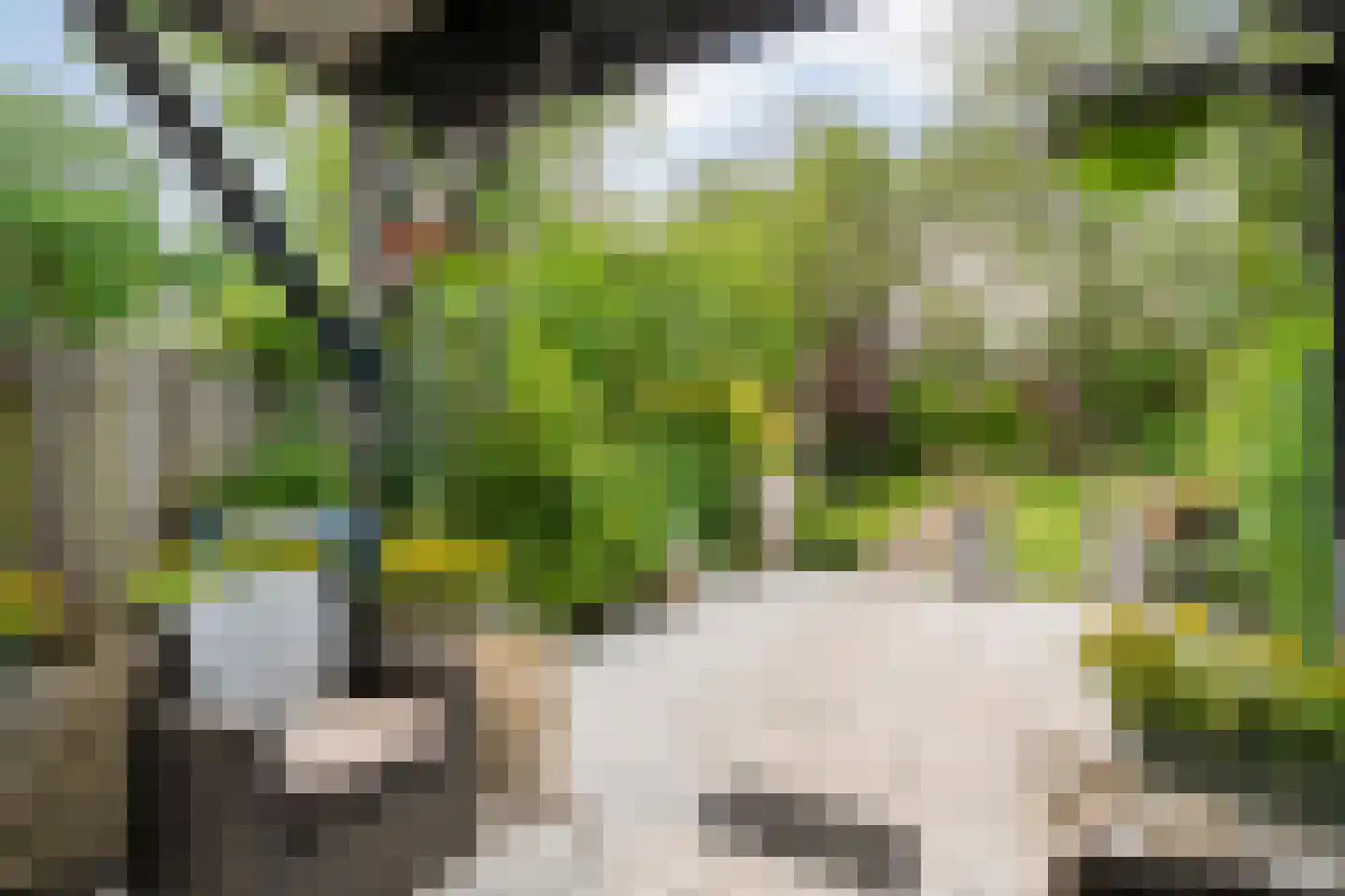 Schellerweg 108 Zwolle thumbnail 34