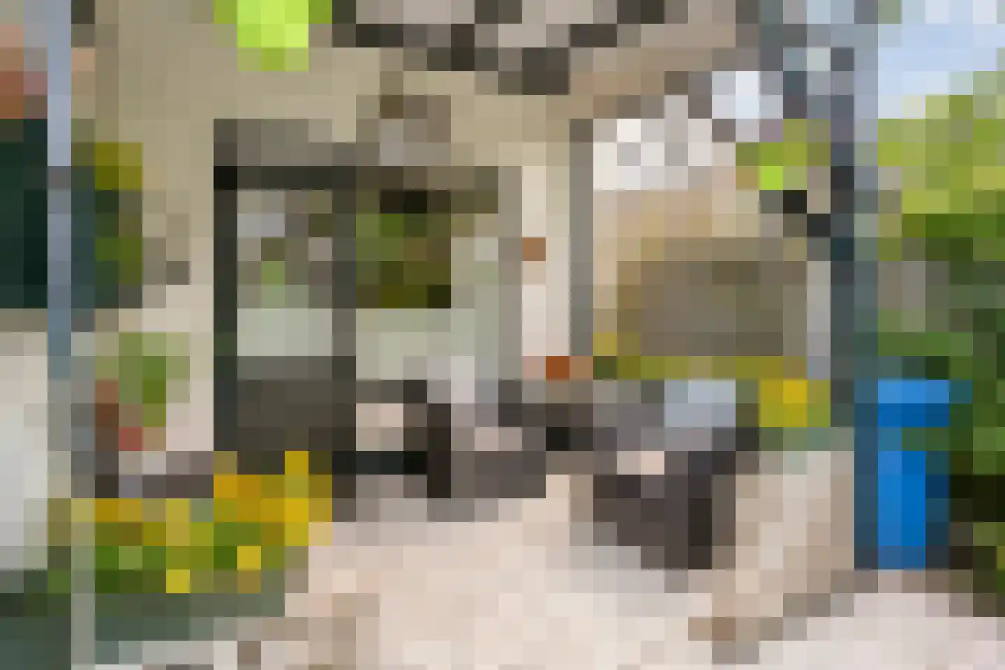 Schellerweg 108 Zwolle thumbnail 35