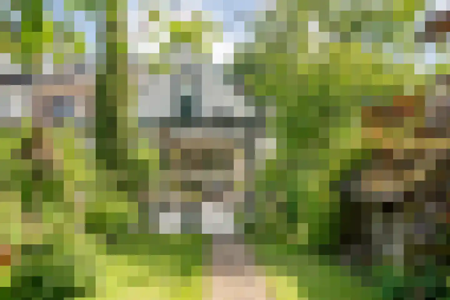 Schellerweg 108 Zwolle thumbnail 38
