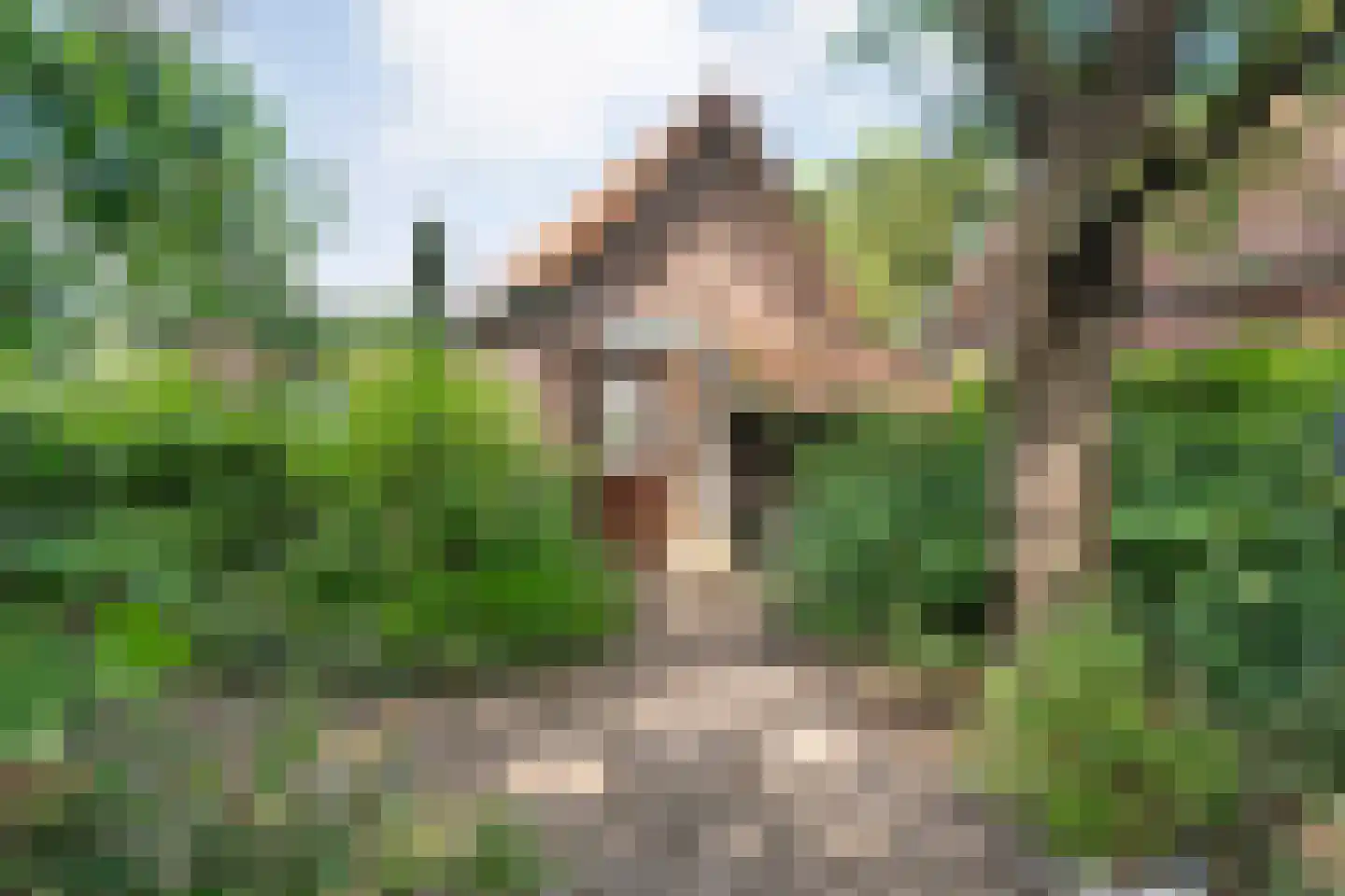 Schellerweg 108 Zwolle thumbnail 39