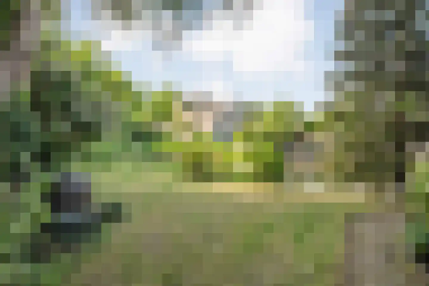 Schellerweg 108 Zwolle thumbnail 40