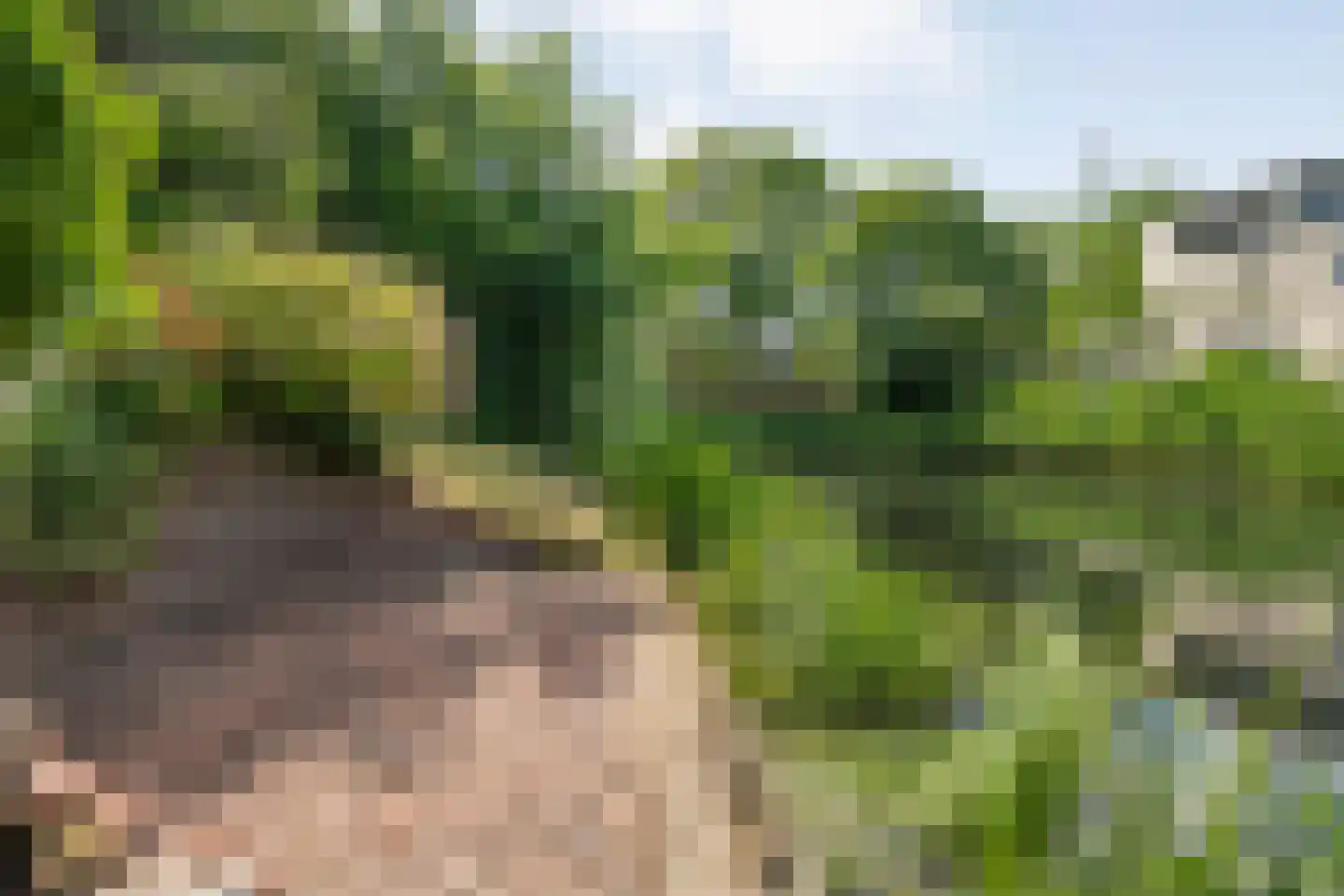 Schellerweg 108 Zwolle thumbnail 42
